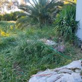 Business Profile Avatar