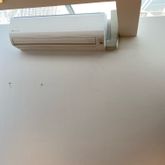 Business Profile Avatar