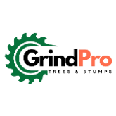 Business Profile Avatar