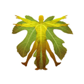 Business Profile Avatar