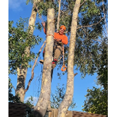 Business Profile Avatar