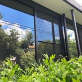 Business Profile Avatar