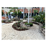 Business Profile Avatar