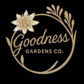 Business Profile Avatar