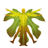 Business Profile Avatar