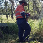 Business Profile Avatar