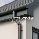 Business Profile Avatar