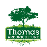 Business Profile Avatar