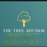 Business Profile Avatar