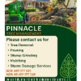 Business Profile Avatar