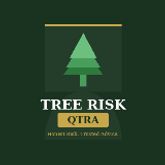 Business Profile Avatar