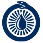 Business Profile Avatar