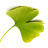 Business Profile Avatar