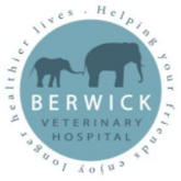 Business Profile Avatar