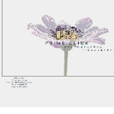 Business Profile Avatar