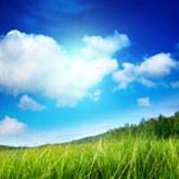 Business Profile Avatar