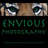 Business Profile Avatar