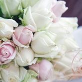 Business Profile Avatar