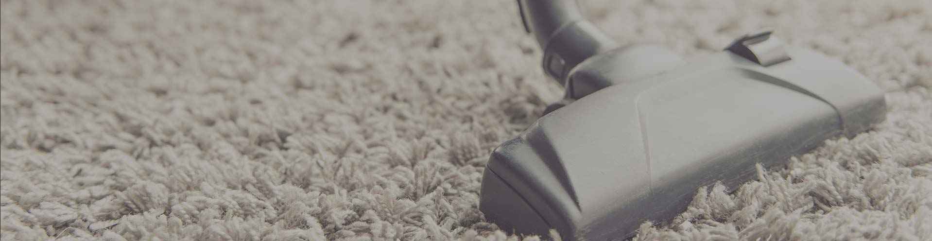 The 10 Best Carpet Cleaners in Sydney, NSW - Oneflare
